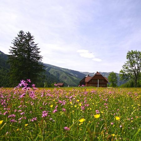 Schaffergut Appartements Доннерсбахвальд Экстерьер фото