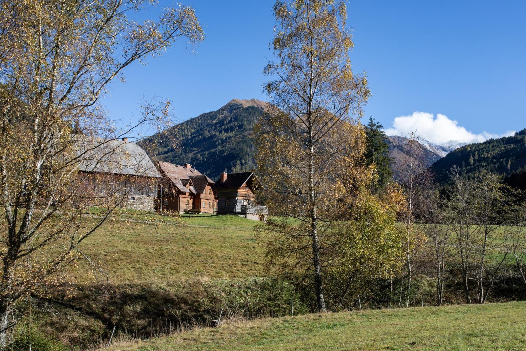 Schaffergut Appartements Доннерсбахвальд Экстерьер фото