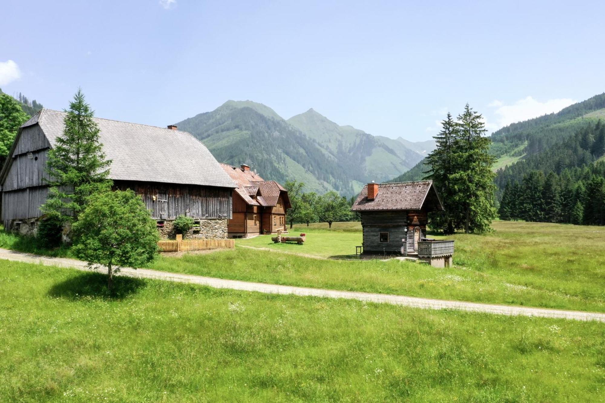 Schaffergut Appartements Доннерсбахвальд Экстерьер фото