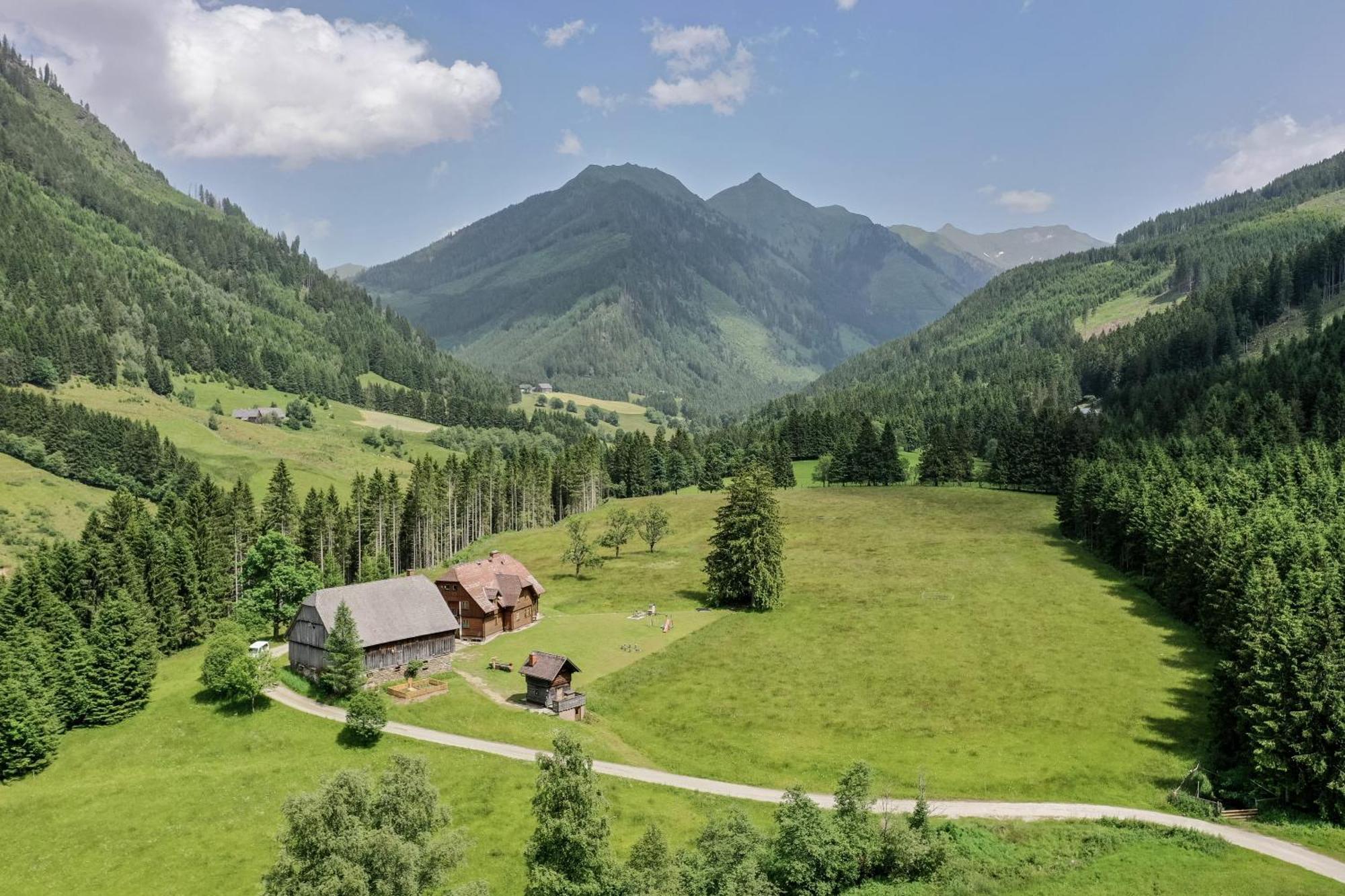 Schaffergut Appartements Доннерсбахвальд Экстерьер фото