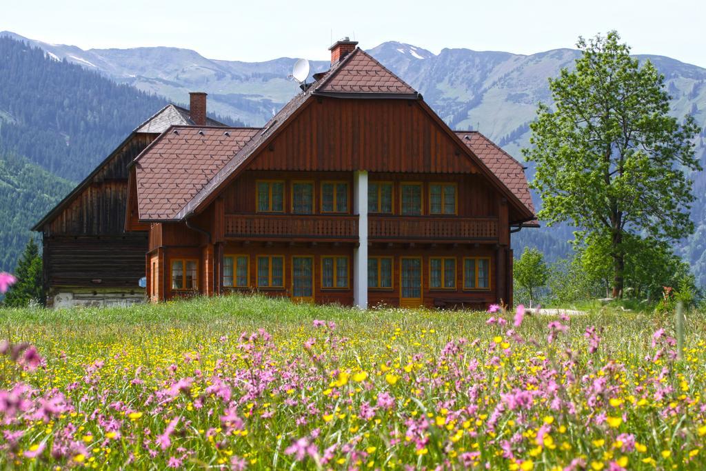 Schaffergut Appartements Доннерсбахвальд Экстерьер фото